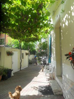 Albergo Villa-Brandi --- Pensione Completa --- Bellaria-Igea Marina Bagian luar foto